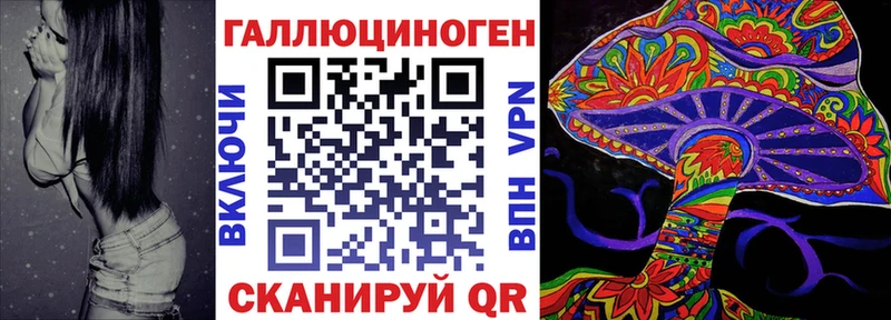 где найти   Яровое  Псилоцибиновые грибы Magic Shrooms 